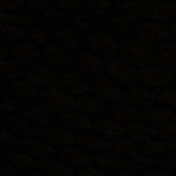 Meet your Posher, Rivkah - Picture 1 of 1